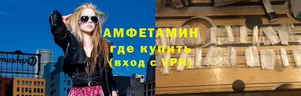 крисы Корсаков