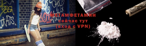 крисы Корсаков