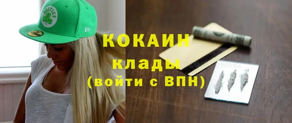 крисы Корсаков