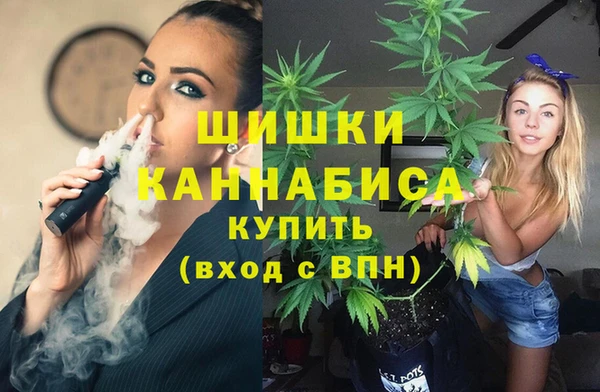 прущие крисы Костерёво
