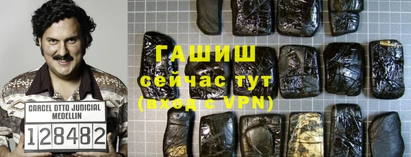 крисы Корсаков