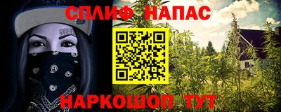 ПСИЛОЦИБИНОВЫЕ ГРИБЫ Азнакаево