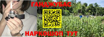 шишки Гусиноозёрск