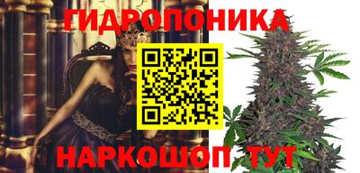 ALPHA PVP Гусев