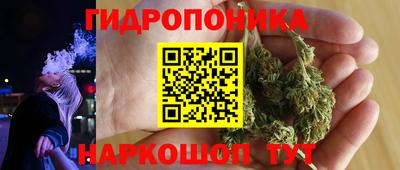 шишки Гусиноозёрск