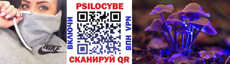 Псилоцибиновые грибы Cubensis  Кирово-Чепецк 