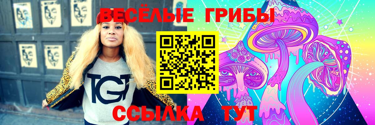 Псилоцибиновые грибы MAGIC MUSHROOMS Кирово-Чепецк